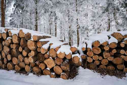 Holzstapel im Schnee