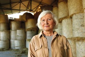 Alterssicherung 2026