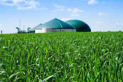 Biogasanlage umgeben von jungem Getriedebestand